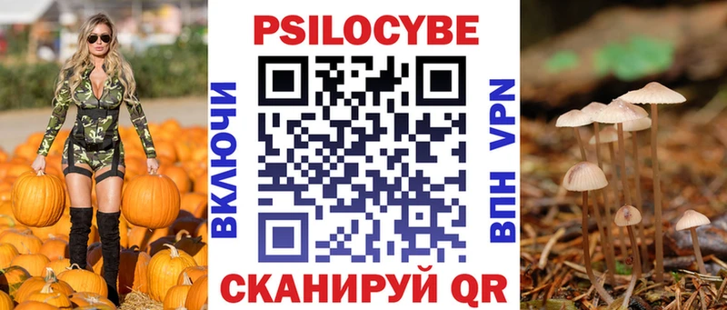 Псилоцибиновые грибы прущие грибы  Купить  Куйбышев 
